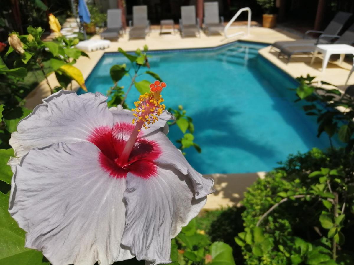 Villa Botero By Casa Mojito Santa Clara  Εξωτερικό φωτογραφία